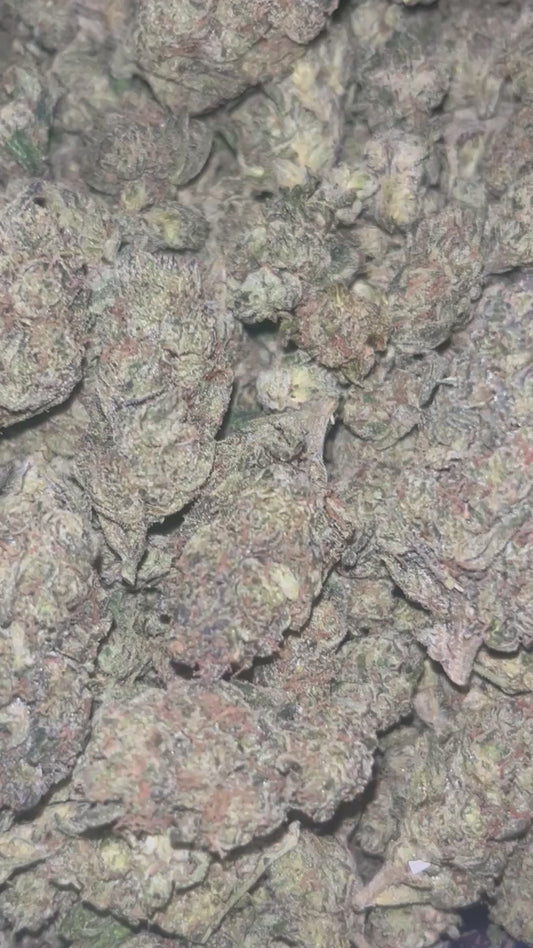 CHERRY ZLUSHIE - 3.5G (Click to 👀 Flower)