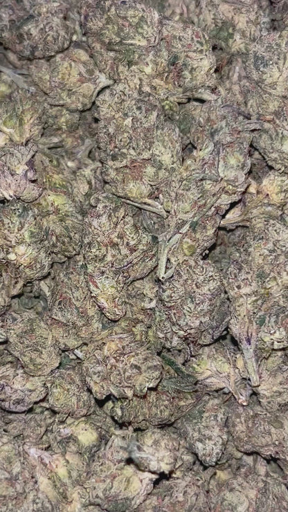 DURBAN POISON - 3.5G        (Click to 👀 Flower)