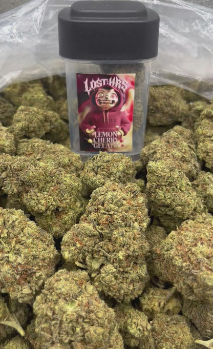 LEMON CHERRY GELATO - 3.5G (Click to 👀 Flower)