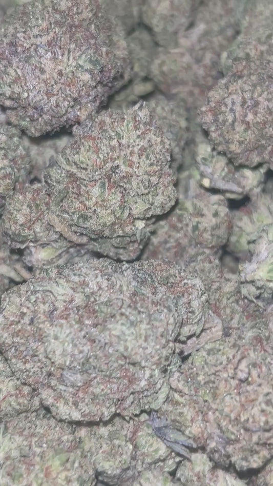 BLUE NERDZ - 3.5G (Click to 👀 Flower)