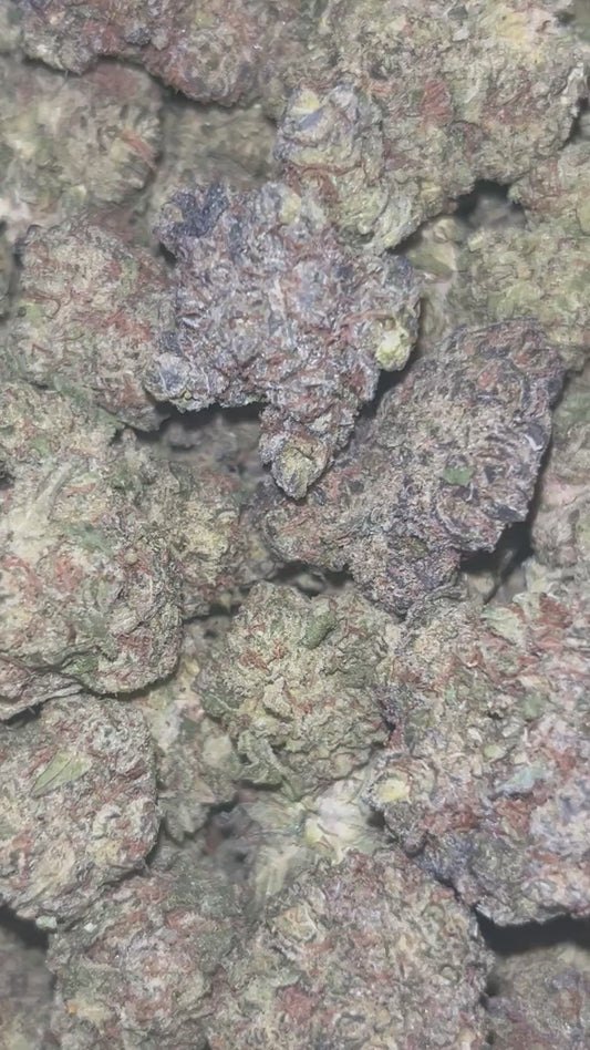 BACIO GELATO - 3.5G (Click to 👀 Flower)