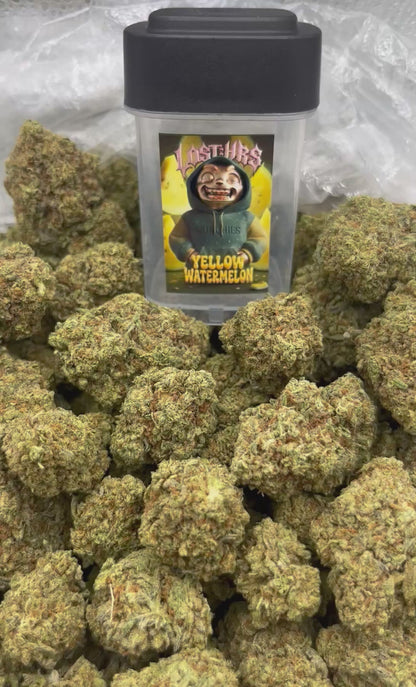 LELLOW WATERMELON - 3.5G (MUNCHIES DROP) (Click to 👀 Flower)