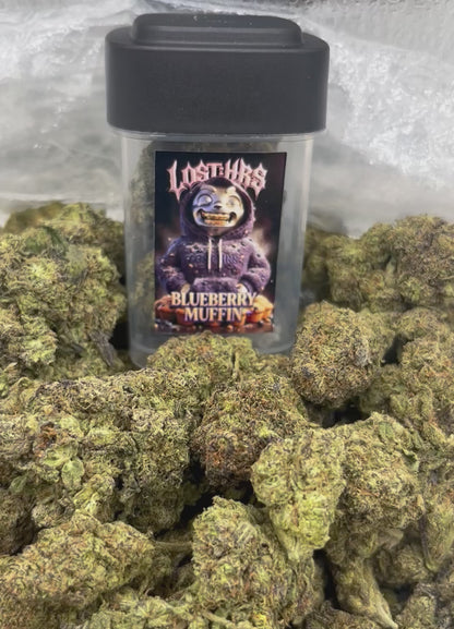 BLUEBERRY MUFFIN- 3.5G (Click to 👀 Flower)